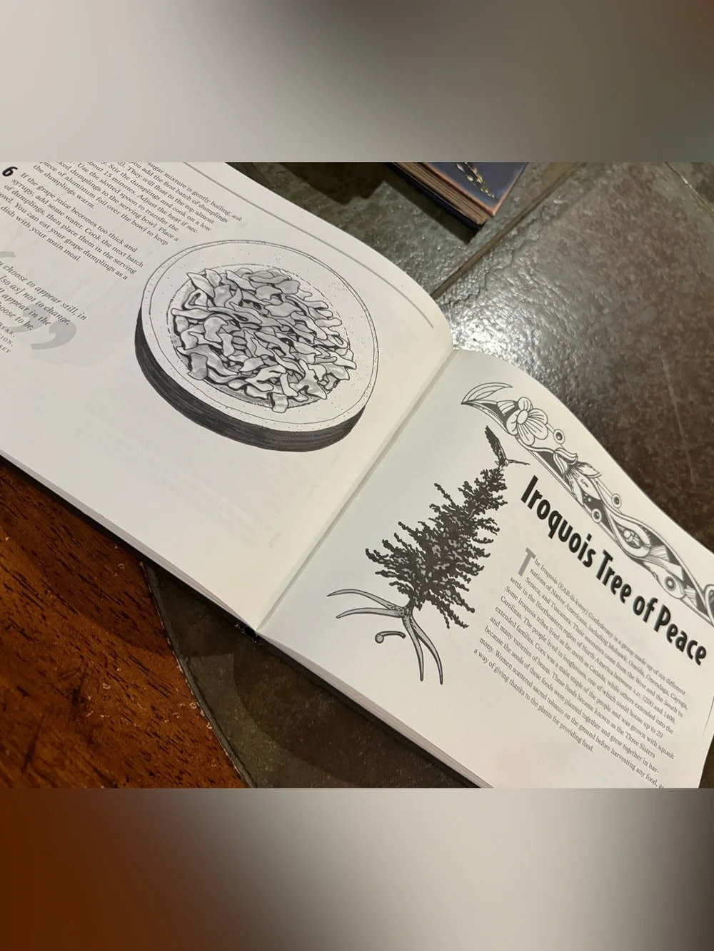Traditional Native American Arts & Activities Book Homeschool crafts western